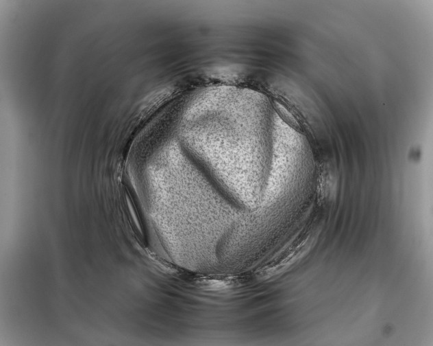 X0000098220285200805081206