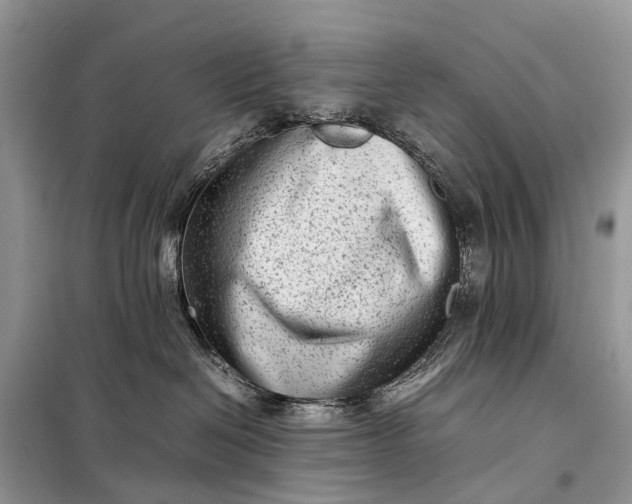 X0000098220286200805081206