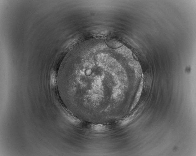 X0000098220287200805081206