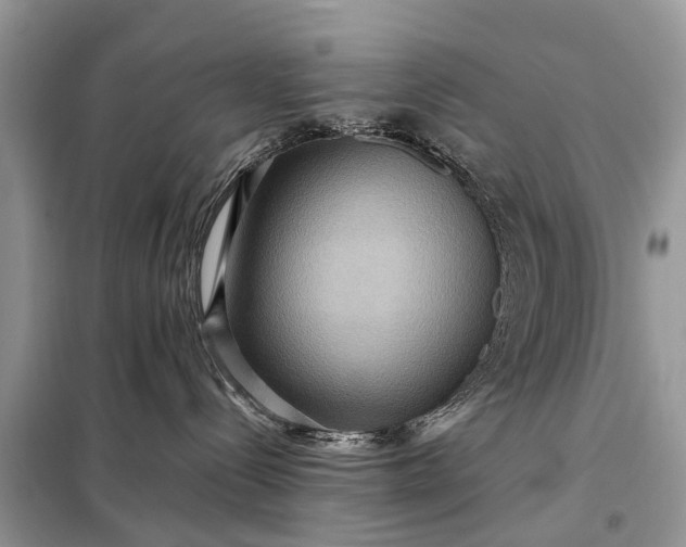 X0000098220288200805081206