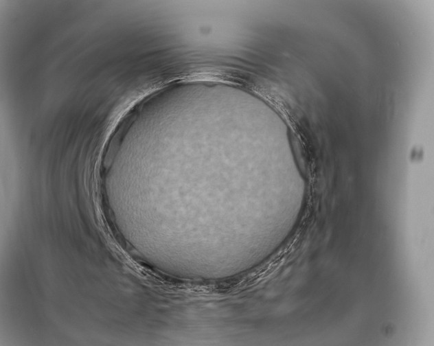 X0000098220289200805081205