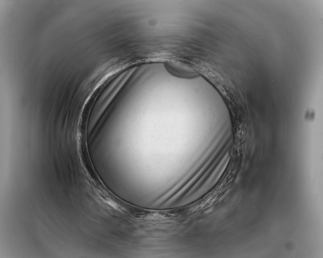 X0000098220290200805081205