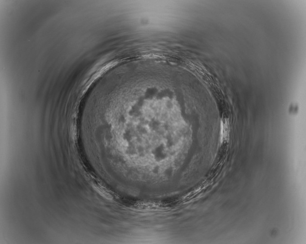 X0000098220291200805081205