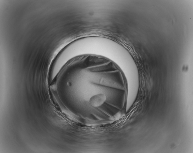 X0000098220292200805081205