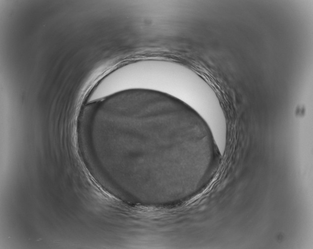 X0000098220293200805081205