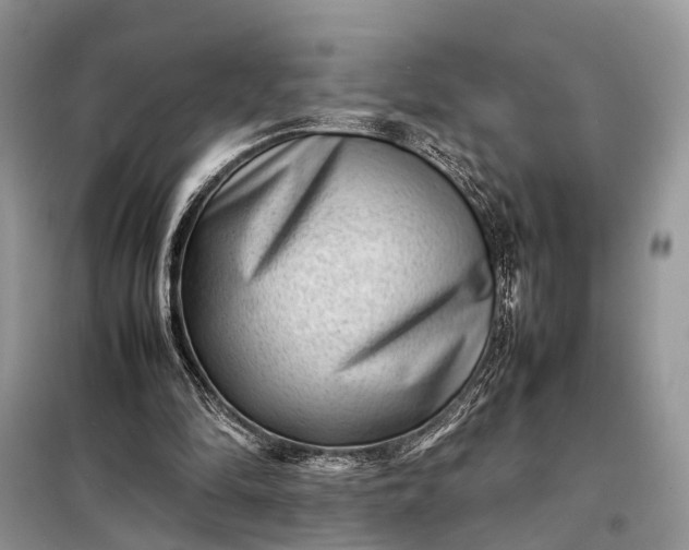 X0000098220294200805081205