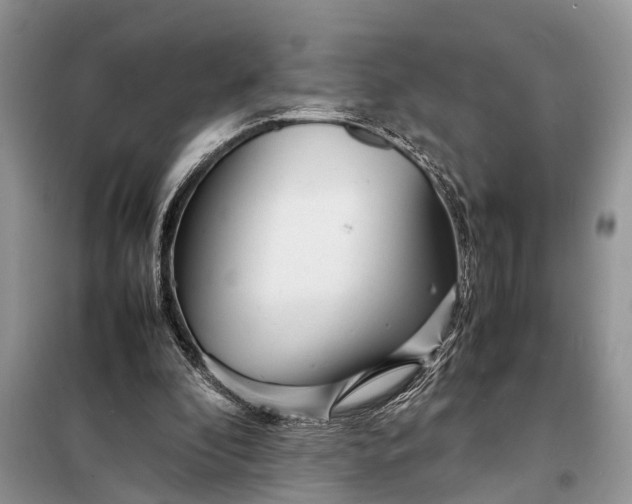 X0000098220296200805081205