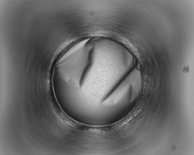 X0000098220298200805081205