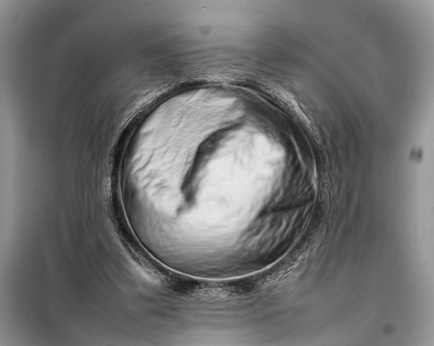 X0000098220299200805081205