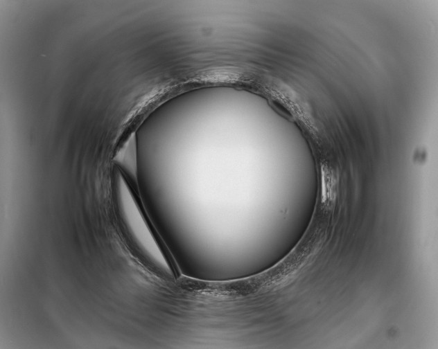 X0000098220300200805081205