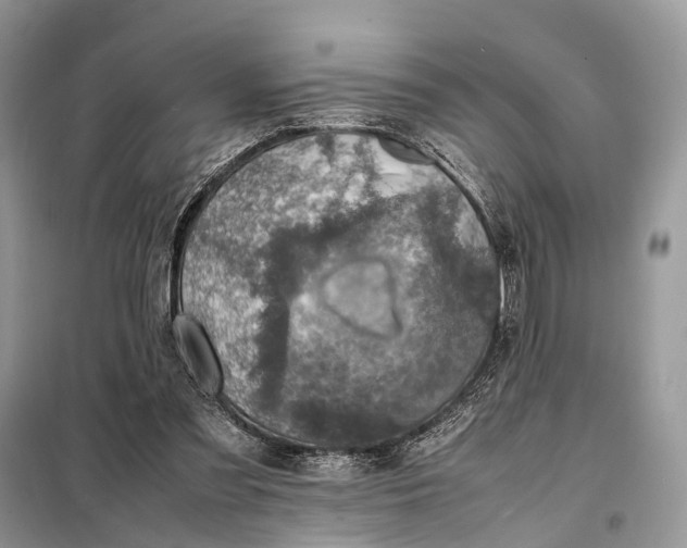 X0000098220301200805081205