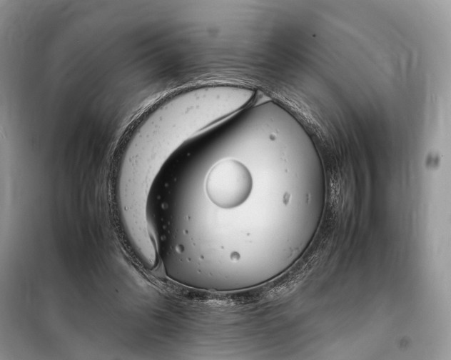 X0000098220302200805081205