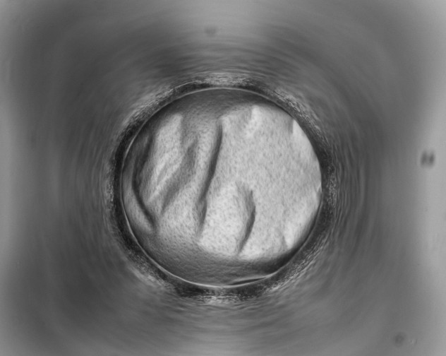 X0000098220303200805081205