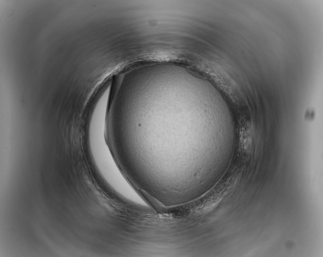 X0000098220304200805081205