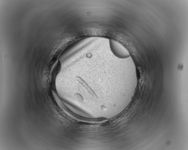 X0000098220306200805081205