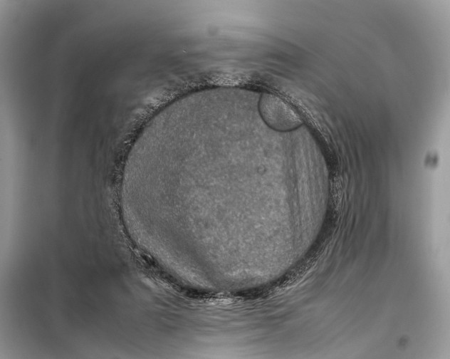 X0000098220307200805081205