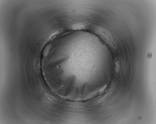 X0000098220308200805081205