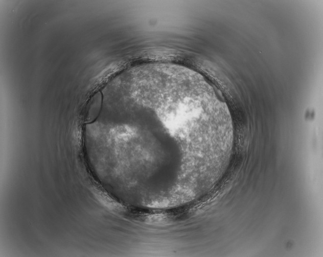 X0000098220309200805081205