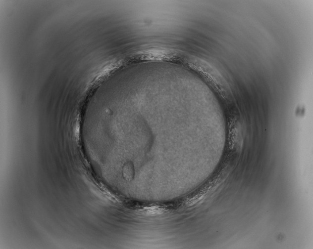 X0000098220310200805081205