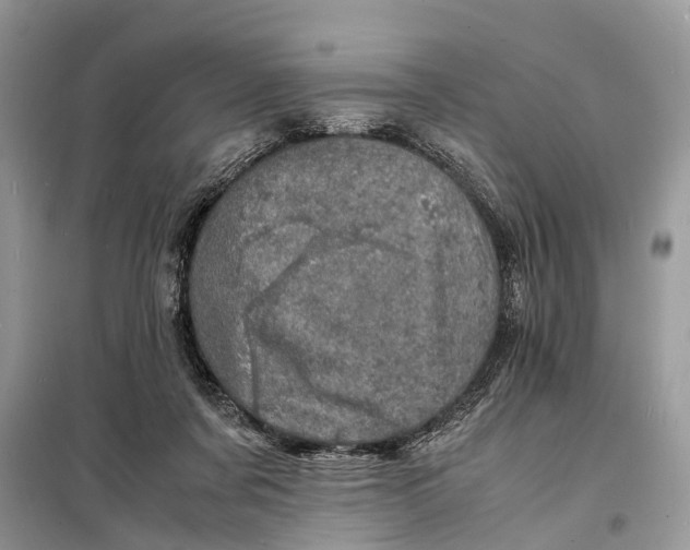 X0000098220311200805081205