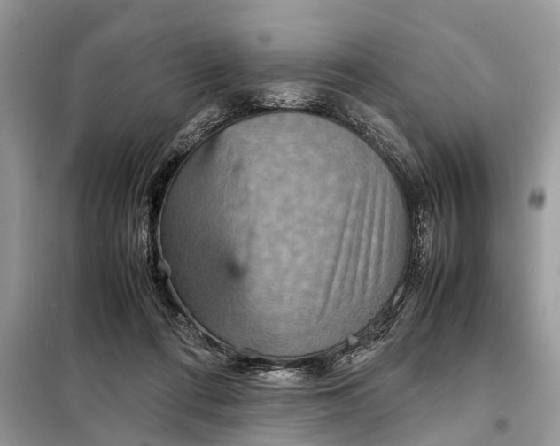 X0000098220312200805081205