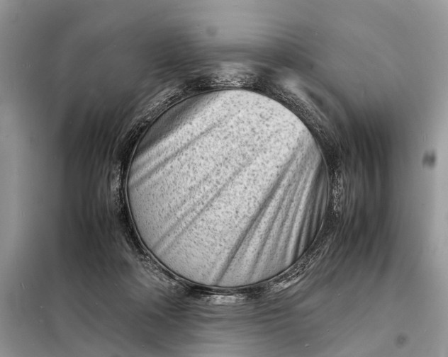 X0000098220314200805081204