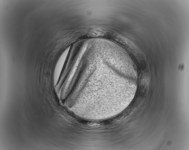 X0000098220315200805081204