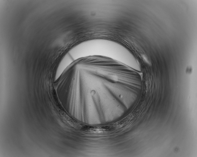 X0000098220316200805081204