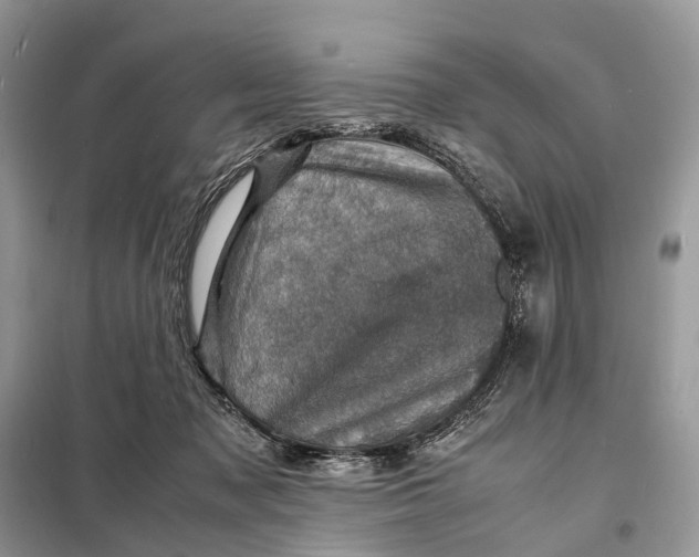 X0000098220317200805081204