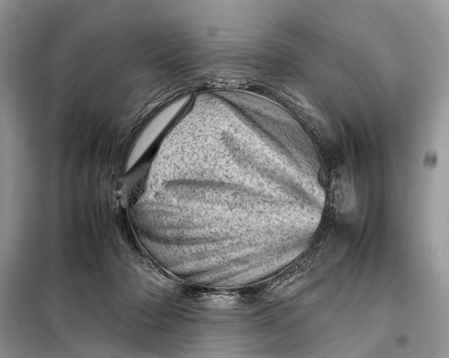 X0000098220318200805081204