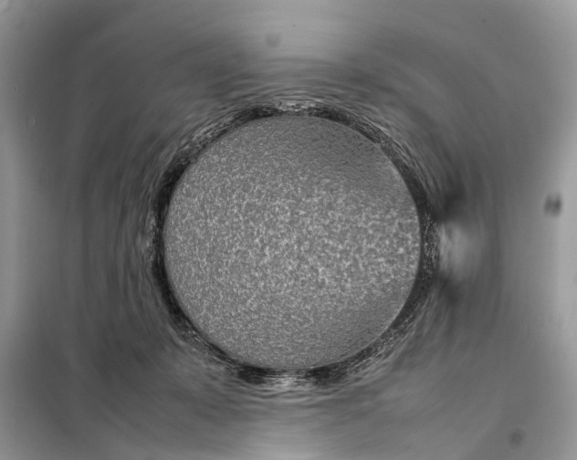 X0000098220319200805081204