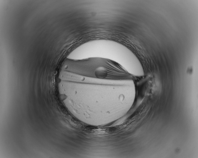 X0000098220320200805081204