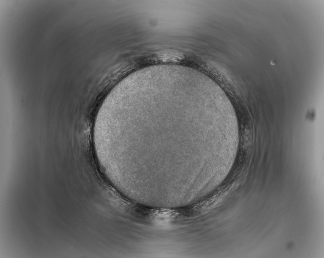 X0000098220321200805081204