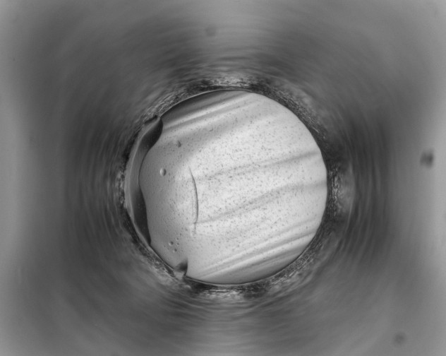 X0000098220322200805081204