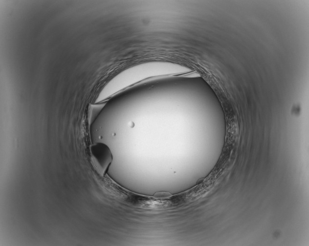 X0000098220323200805081204