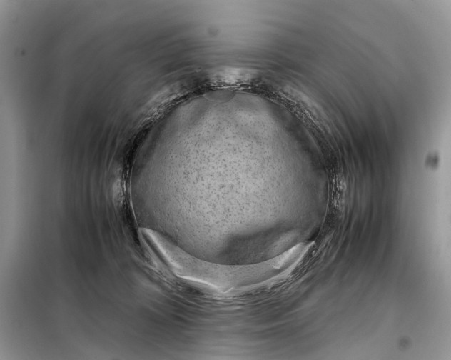 X0000098220324200805081204