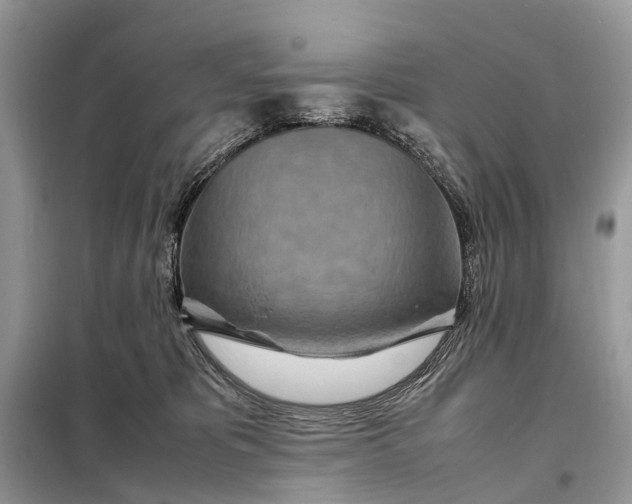 X0000098220325200805081204