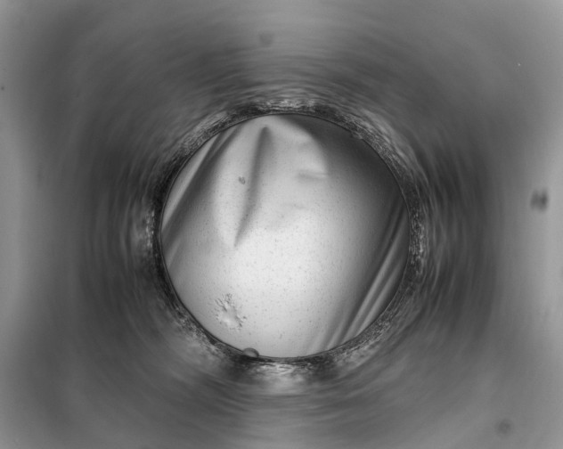 X0000098220326200805081204