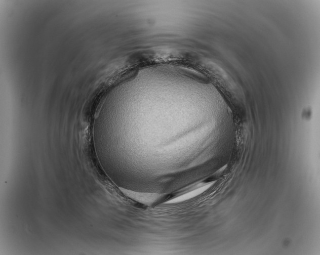 X0000098220327200805081204