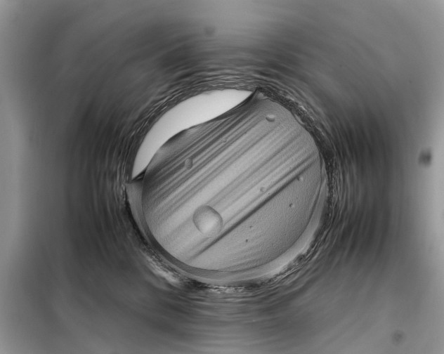 X0000098220328200805081204