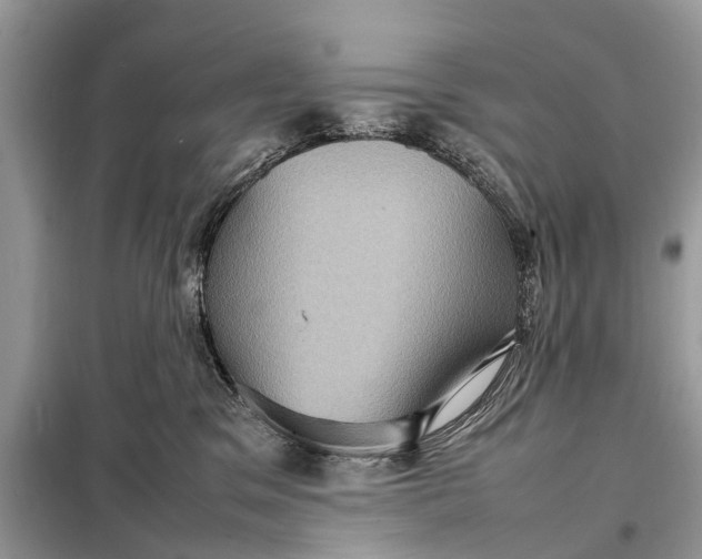 X0000098220329200805081204