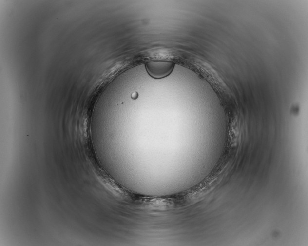 X0000098220330200805081204