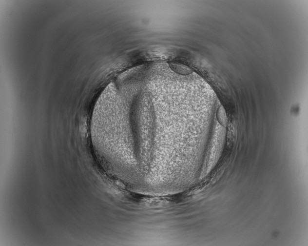 X0000098220331200805081204