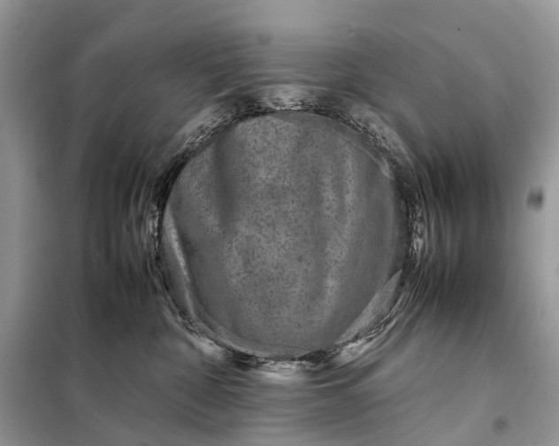 X0000098220332200805081204