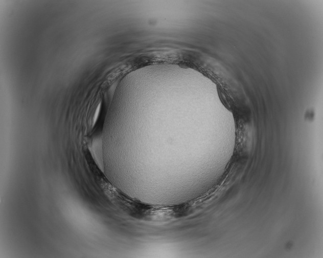 X0000098220333200805081204