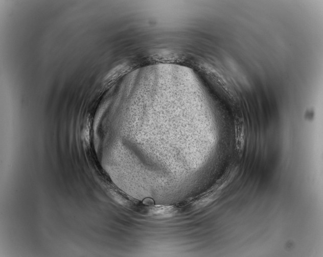 X0000098220334200805081204