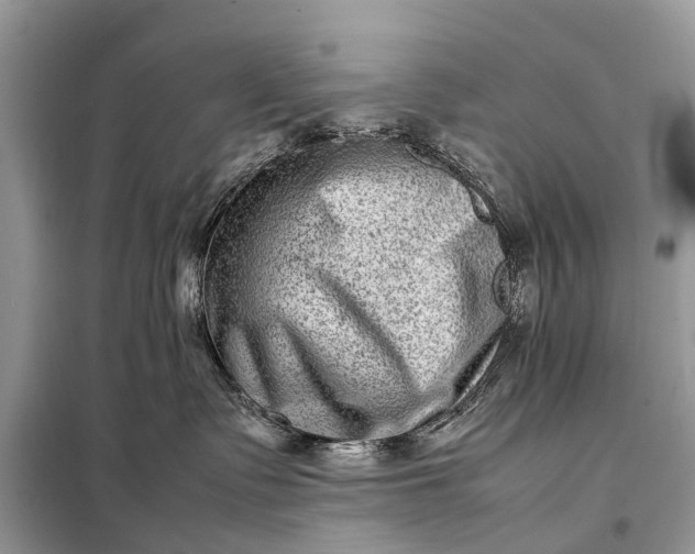 X0000098220335200805081204