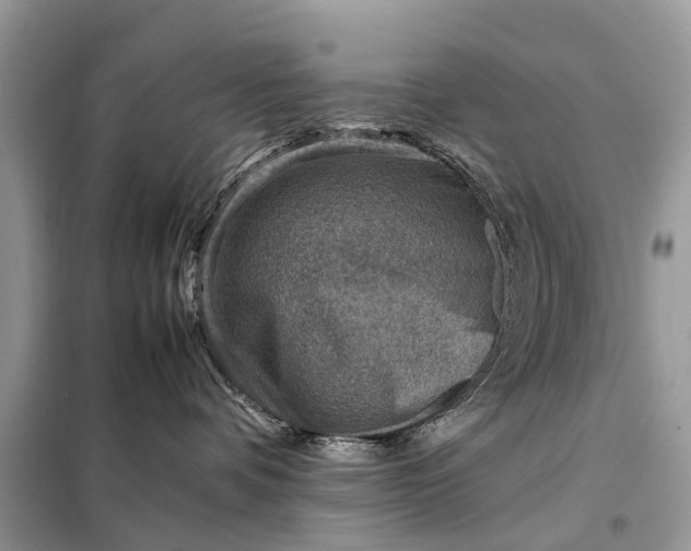 X0000098220336200805081204