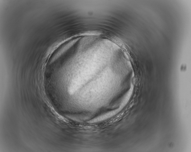 X0000098220337200805081203