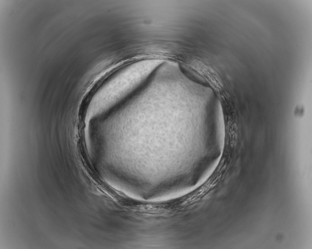 X0000098220338200805081203